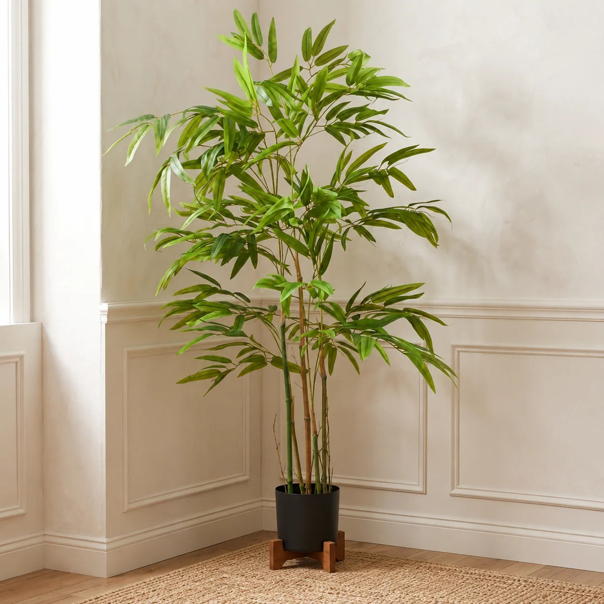 BAMBOO PLANT