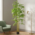 BAMBOO PLANT