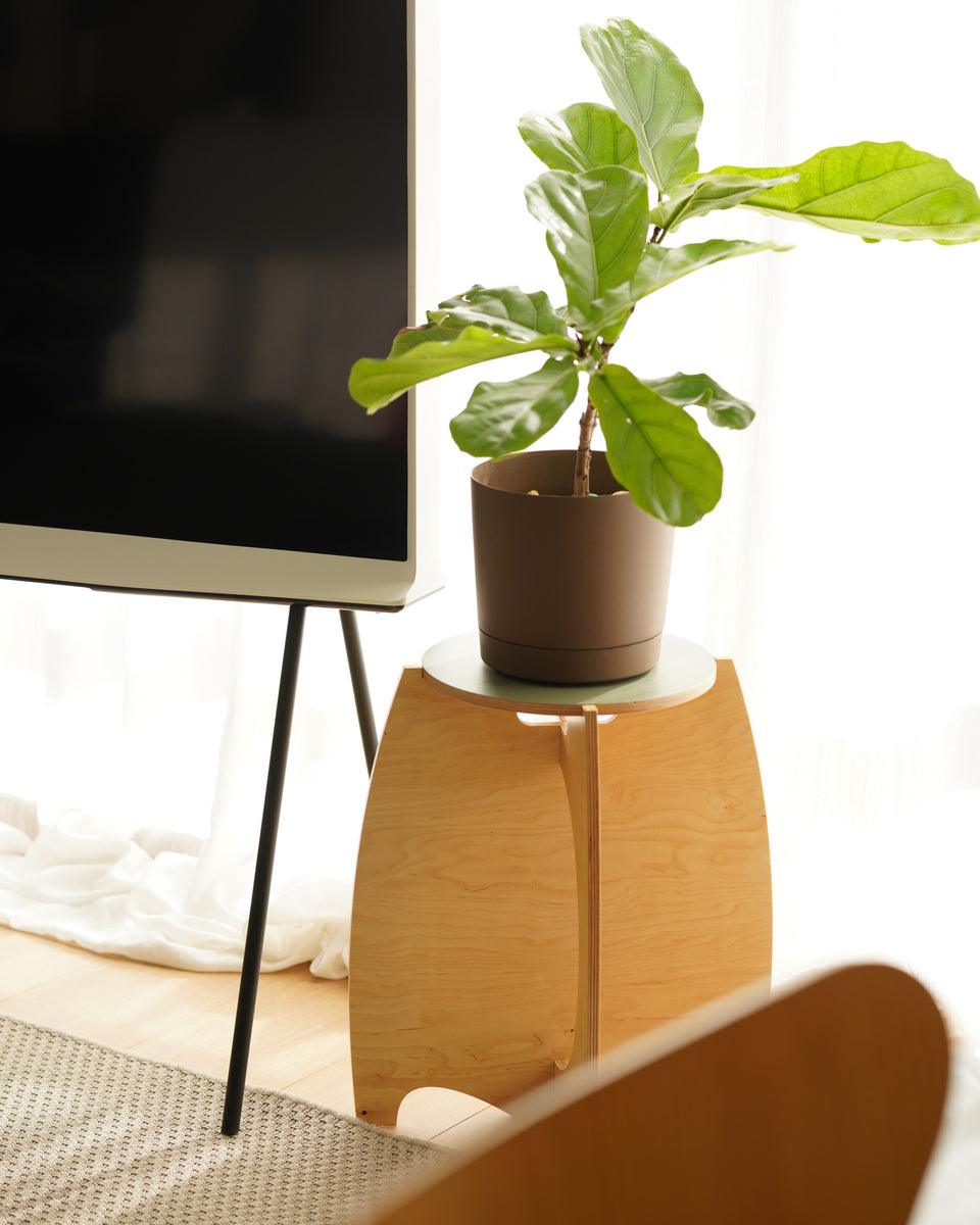 Welcome Stool Standard – Design Story