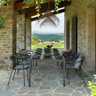 DARWIN DINING ARMCHAIR