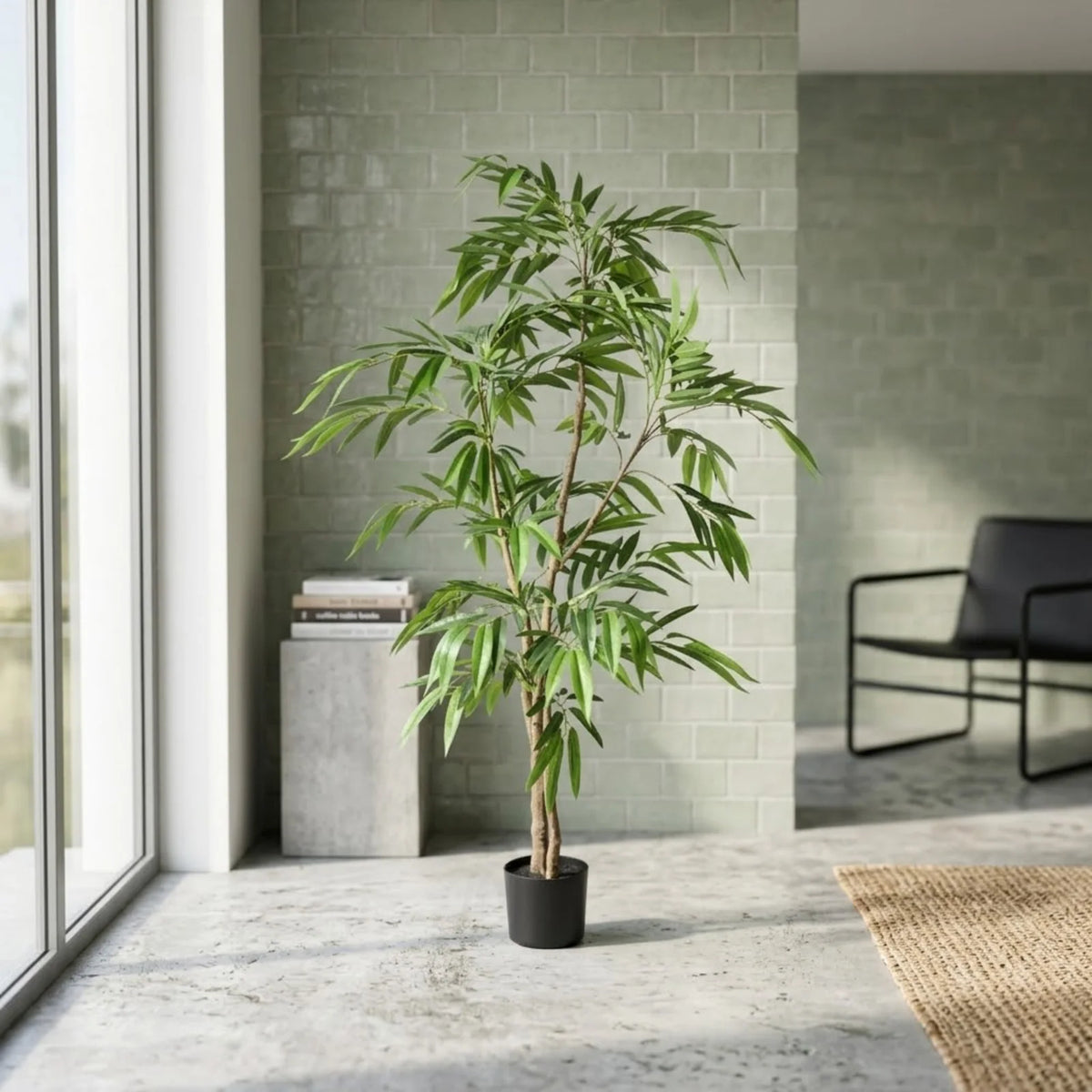 FICUS TREE (Long Leaves)