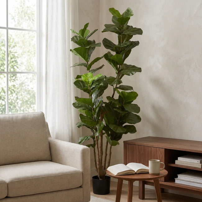 FIDDLE LEAF FIG TREE
