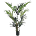 KENITA PLAM PLANT
