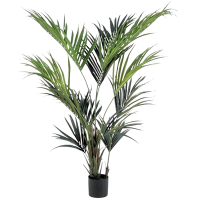 KENITA PLAM PLANT