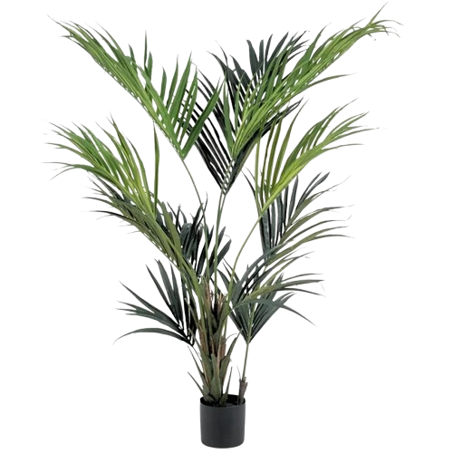 KENITA PLAM PLANT