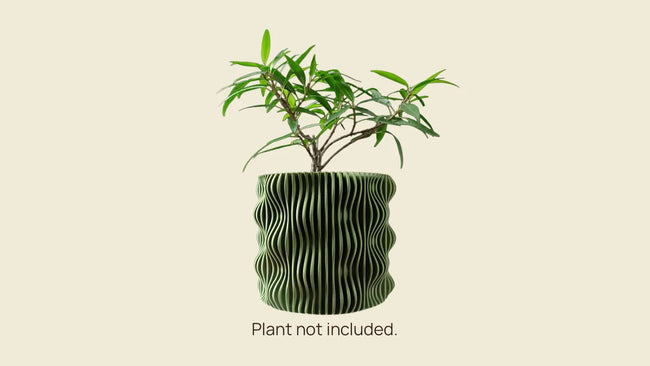 MUXEL PLANTER