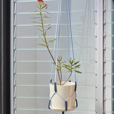 냄비와 접시가 있는 식물 가족