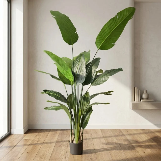 TRAVELLERS PALM