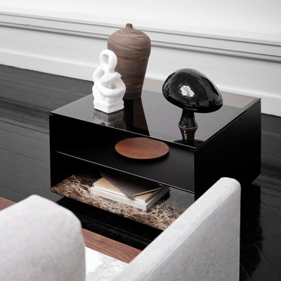 Expose Coffee Table and Side Table