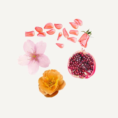 조이 아로마틱 화산석