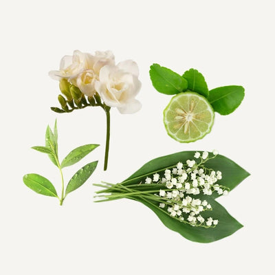 ライズ アロマティック マッサージ キャンドル