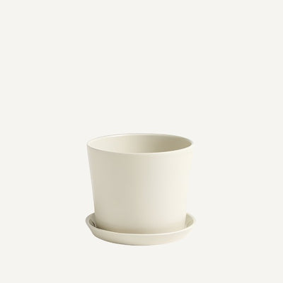 냄비와 접시가 있는 식물 가족