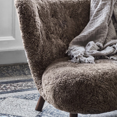 リトル ペトラ VB2 (予約注文)