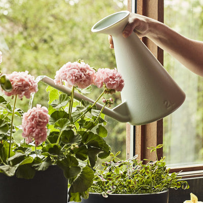 Watering Can