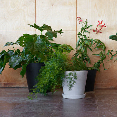 Flowerpot With Saucer With Hole