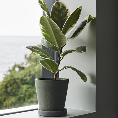 Flowerpot With Saucer