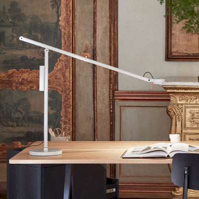 Fifty Fifty Table Lamp