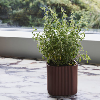 Facade Herb Pot